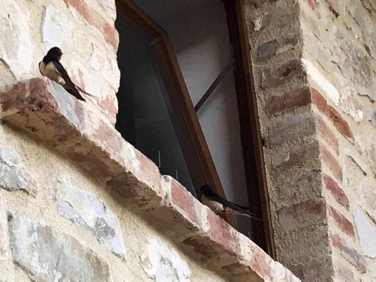 Vila San Venanzo - Casale De Conti Exteriér fotografie